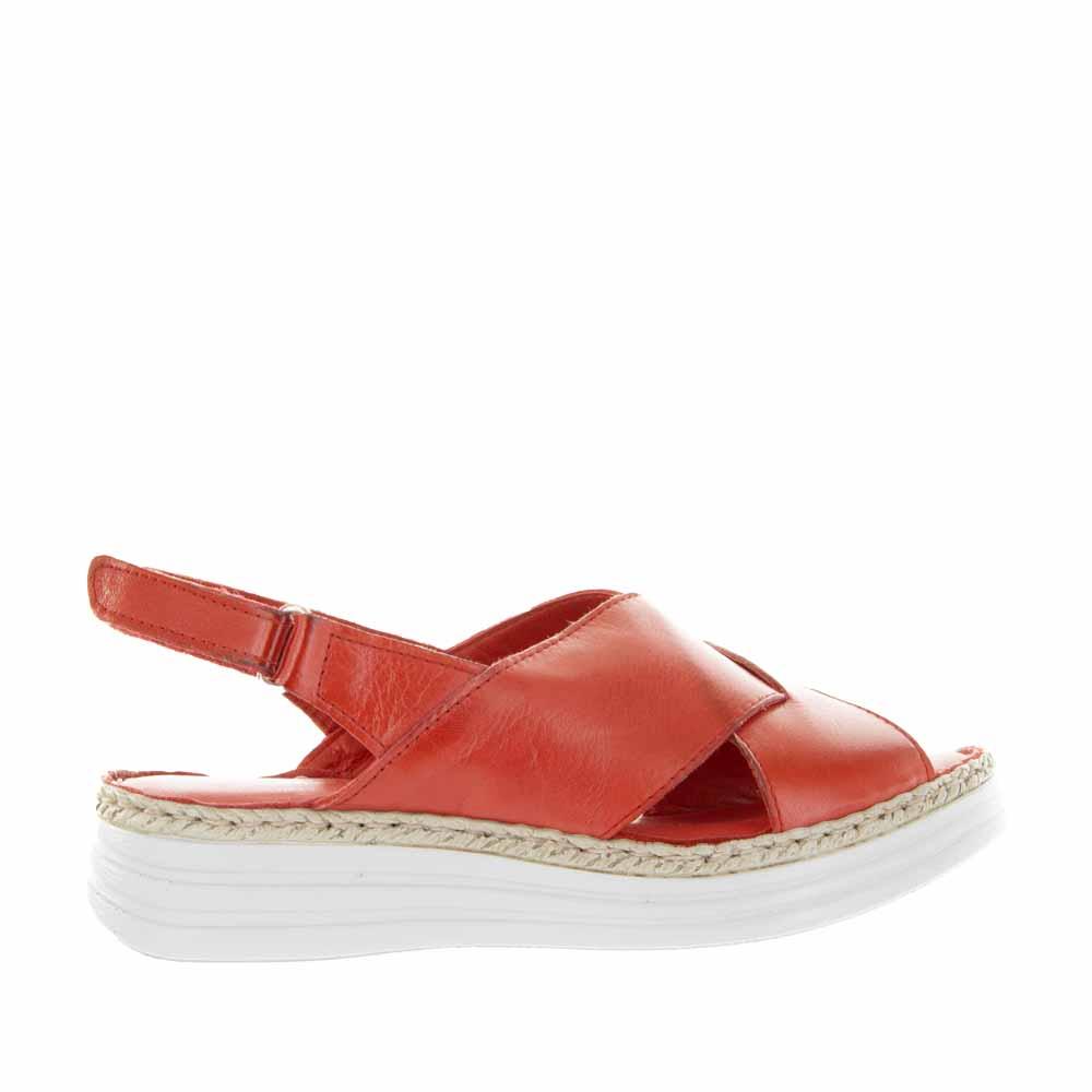 Clarks botanic fay on sale sandals