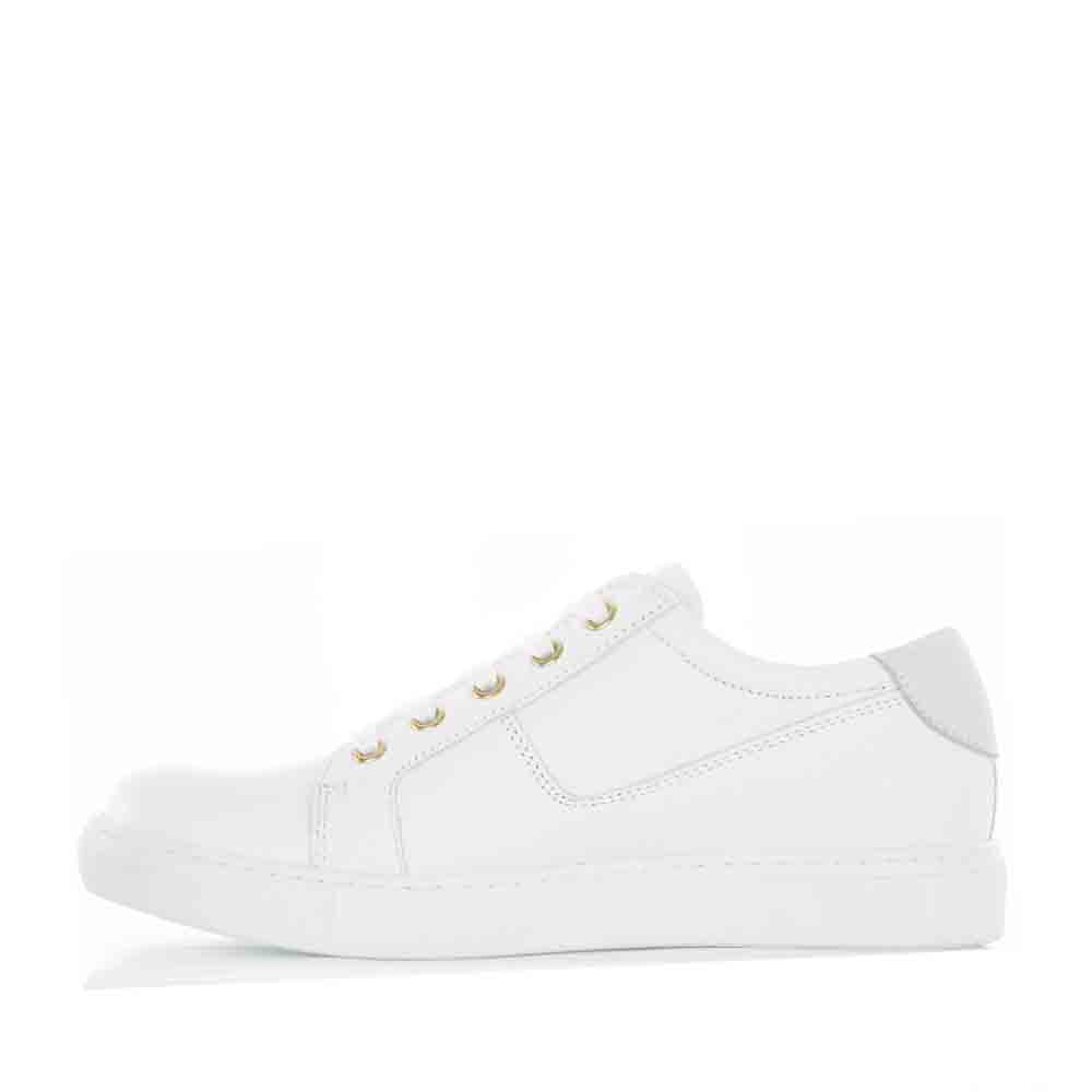 CABELLO EG520 WHITE Women Sneakers - Zeke Collection NZ