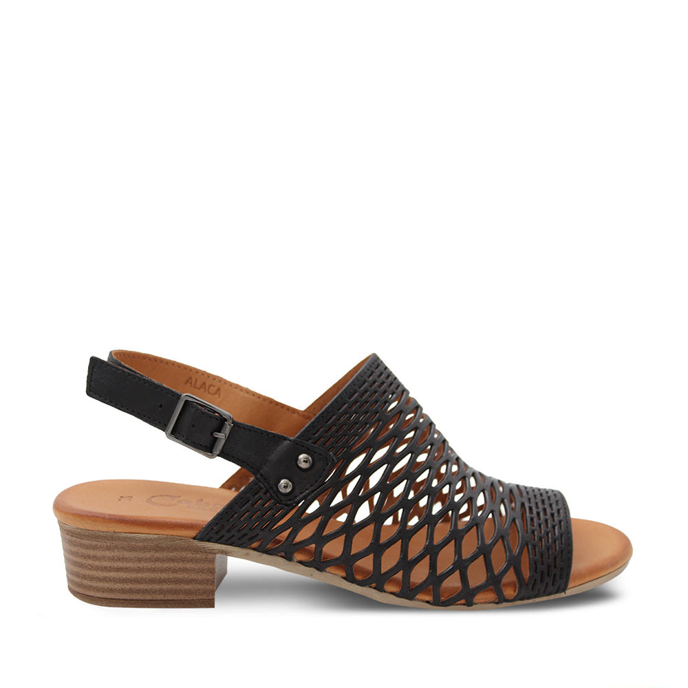 CABELLO ALACA BLACK Women Sandals - Zeke Collection NZ